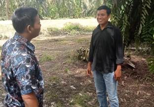 Program KKPA bisa bikin petani di Rokan Hulu meraih untung dua kali lipat (foto/ist)